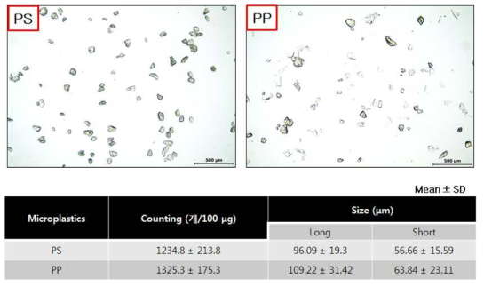 Particle analysis of polystyrene and polypropylene secondary using optical microscope