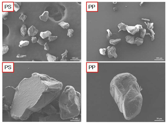 Particle analysis of polystyrene and polypropylene secondary using scanning electron microscope (PPMP : Polypropylene microplastics, PSMP : Polystyrene microplstics)