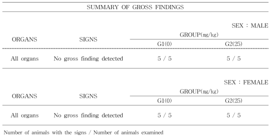 Gross findings of rats