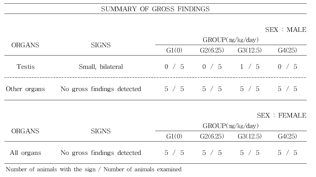 Gross findings of rats
