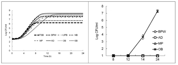 각 증균 배지에서 Salmonella Typhimurium의 생육(좌) 및 85% injured S. Typhimurium의 각 증균 배지에서의 생육(우)