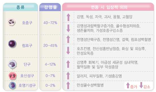 백혈구 감별계산의 정상치 및 임상적 의미