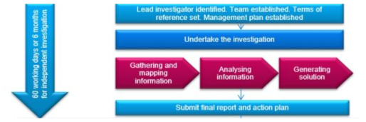 사례보고 – 팀 구성 – 레벨 설정 – 조사 수행 - 결과 보고서 & Action plan – 종료 단계 중 조사수행 이후 나머지 단계