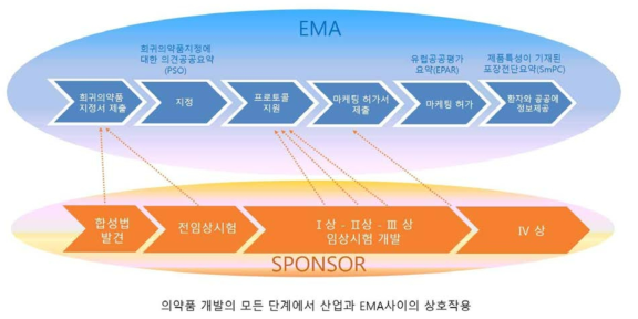 희귀의약품 규제 절차