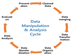 데이터 구조화 및 분석 과정