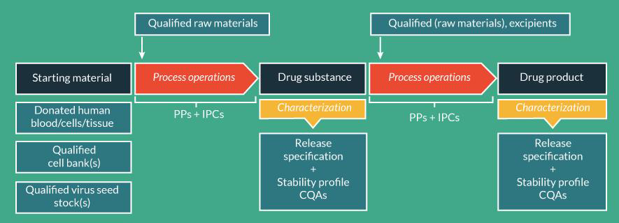 첨단바이오의약품의 원료에서 최종제품까지의 공정 흐름도 (PPs; process parameters-temperature, agitation speed, feed rate, IPCs; in process controls)