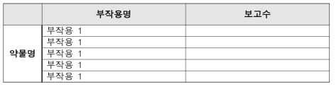 분석(안)