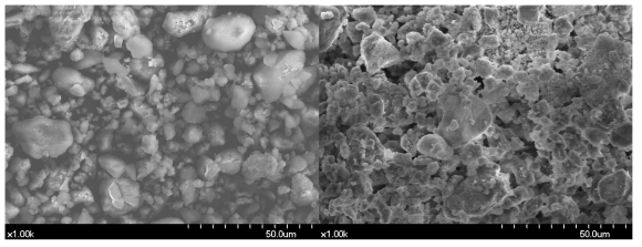 실험치약 1(좌)과 2(우)의 SEM 사진