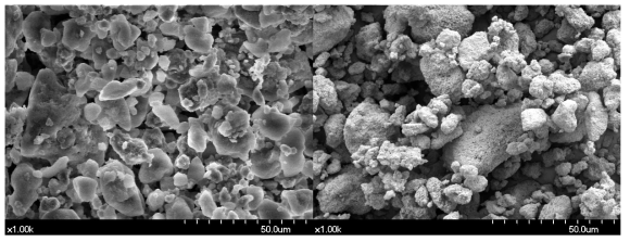 실험치약 5(좌)와 6(우)의 SEM 사진