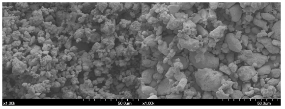실험치약 7(좌)과 8(우)의 SEM 사진