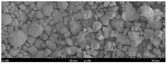 실험치약 9(좌)와 10(우)의 SEM 사진