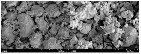 실험치약 11(좌)과 12(우)의 SEM 사진
