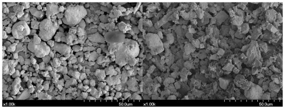 실험치약 13(좌)과 14(우)의 SEM 사진