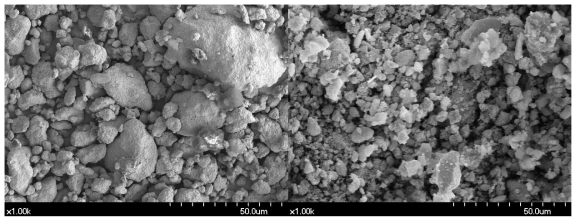 실험치약 21(좌)과 22(우)의 SEM 사진