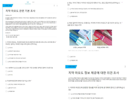 구글 폼으로 발송된 설문 모습