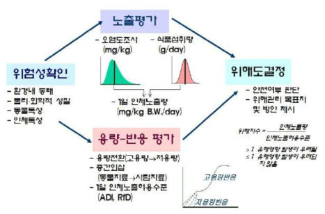 위해평가 체계 흐름도