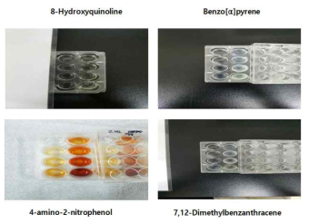 The representative images of 24-well plates after 90 minutes of pre-incubation with the test articles