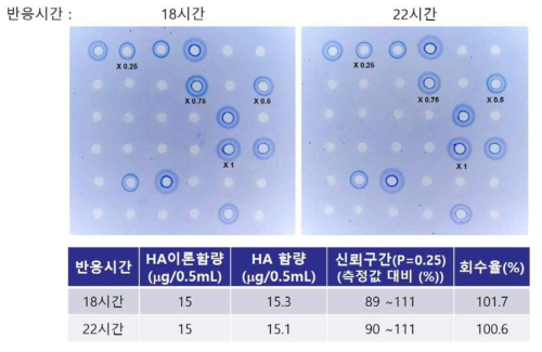 항원-항체 반응 시간에 따른 헤마글루티닌 함량시험