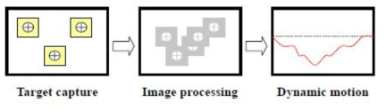 Overview of digital image processing