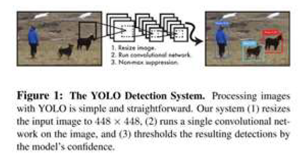 YOLO Detection 시스템