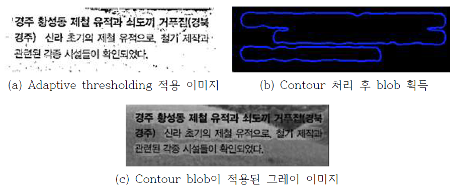 입력 이미지의 발전된 전처리 기술 적용