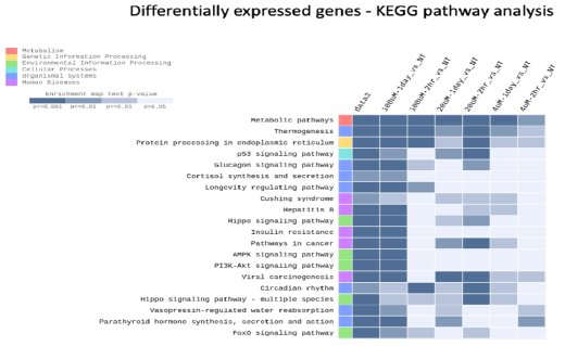 유전체 변화 패턴의 KEGG 분석