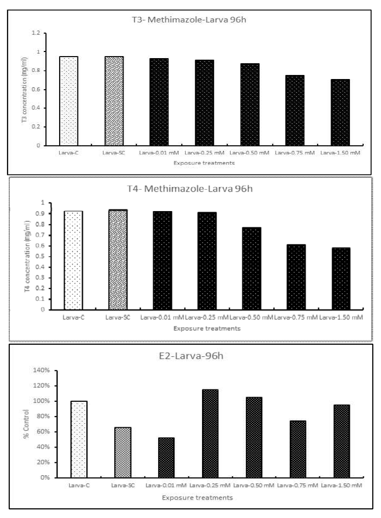 MMI 노출에 따른 zebrafish larva 호르몬 분석 (T3, T4, E2)