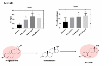 BPS 노출에 의한 female zebrafish 내 steroids 호르몬 변화