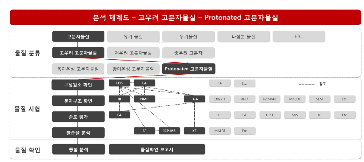 Protonated 고분자물질의 물질확인을 위한 분석 체계도