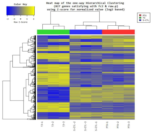 노출군 별, 유전자 별 발현 수준을 이용하여 발현 정도가 유사한 샘플 및 유전자를 hierarchical clustering analysis를 통하여 그룹화한 hit map