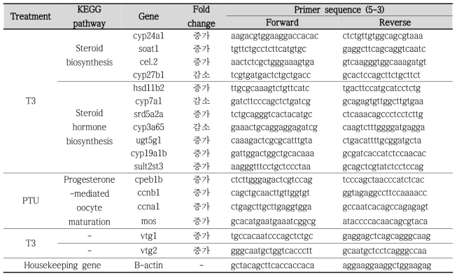 생식독성 관련 KEGG pathway별 유전자 및 primer 정보