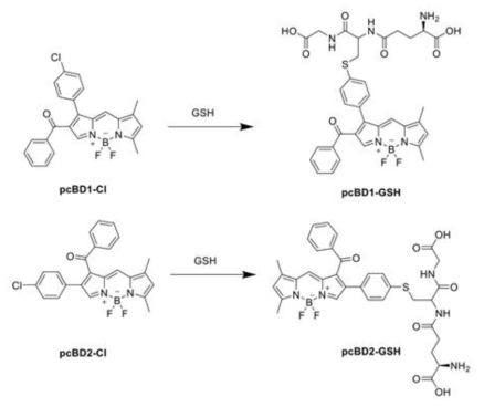 BODIPY 구조 기반 GSH 센서 메커니즘