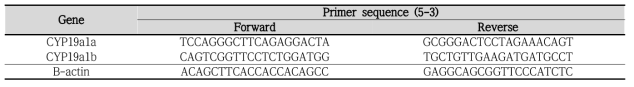 Aromatase 관련 유전자 및 primer 정보