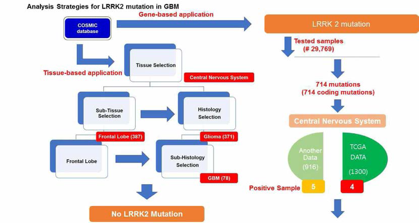 COSMIC, TCGA database를 이용한 종양환자군에서의 LRRK2 돌연변이 분석