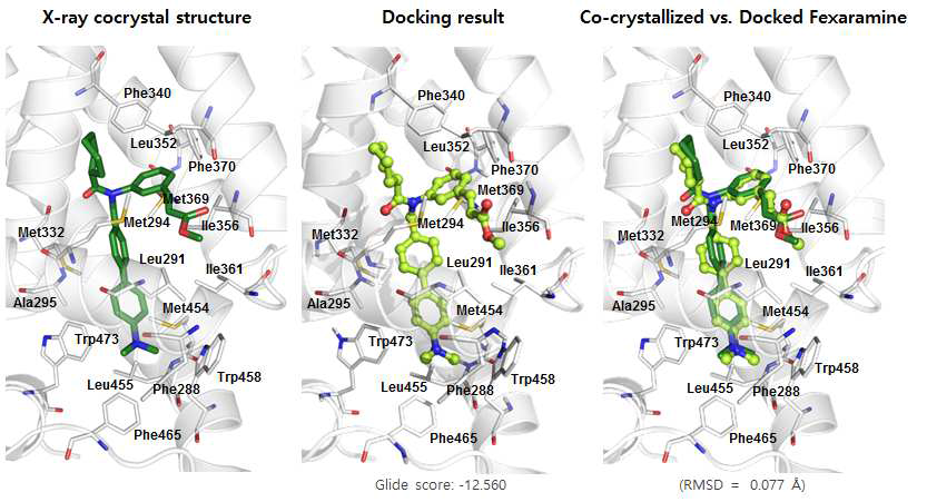 Human FXR에 결합한 Fexaramine의 결정구조를 바탕으로 Glide SP docking method를 검증