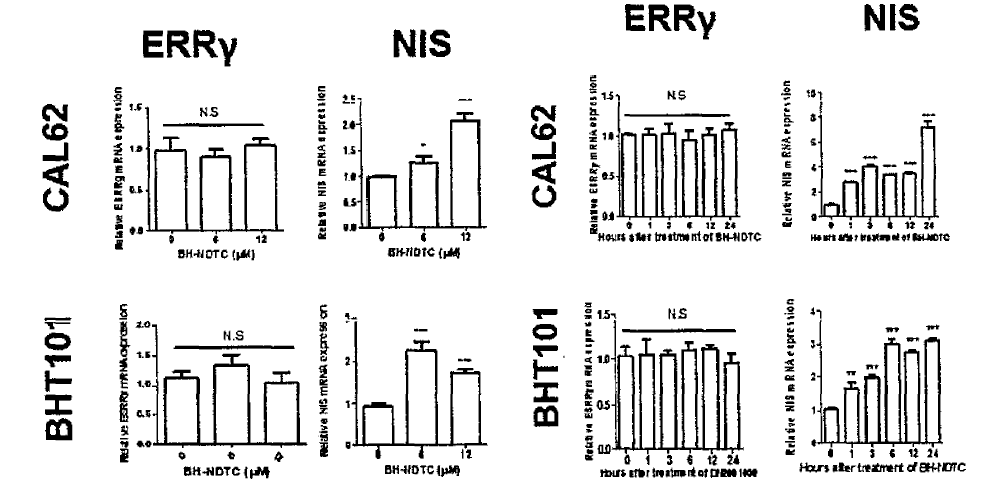 Effects of BH-NDTC on ERRγ and NIS mRNA expression in anaplastic thyroid cancer cells