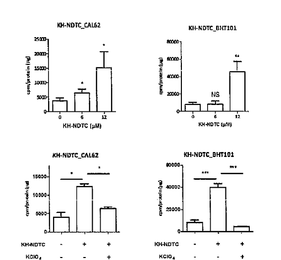 Effects of KH-NDTC on the kinetics of iodide uptake in anaplastic thyroid cancer cells