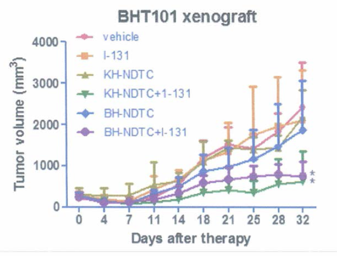 Evaluation of therapeutic effects of KH-NDTC (or BH-NDTC)+I-131 in BHT101 xenograft model