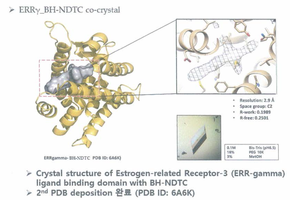X-ray co-crystal structure (ERRγ_BH-NDTC) 논문 투고 내용