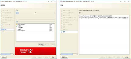 Oracle 11g Client 설치