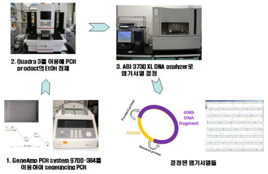Methods of end sequencing using 3730XL