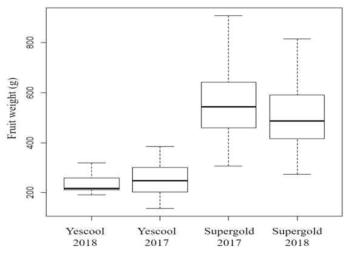 Box-and-whisker diagram of Yescool and Supergold fruit weight in 2017-2018