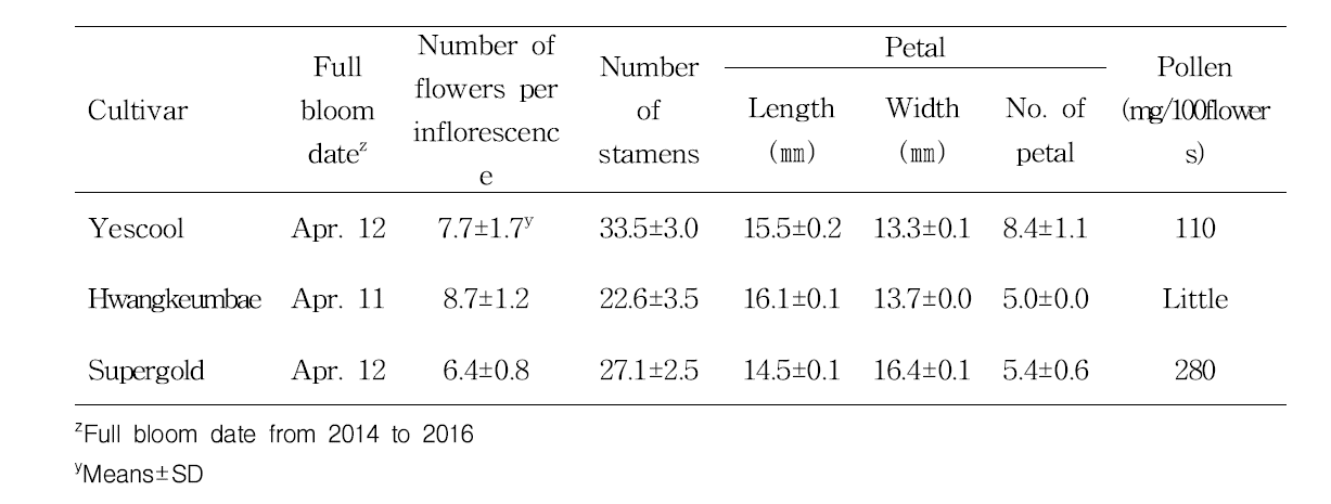Flower characteristics of ‘Yescool’ at Naju in 2016