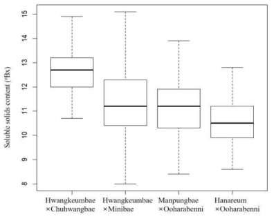 Soluble solids content distribution among seedlings in 2012∼2019 (Hwangkeumbae × Chuhwangbae, n=121; Hwangkeumbae × Minibae, n=153, Manpungbae × Ooharabenni, n=205, Hanareum × Ooharabenni, n=76, )