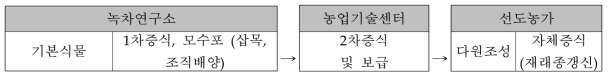 신품종 묘목 대량 증식 체계 구축