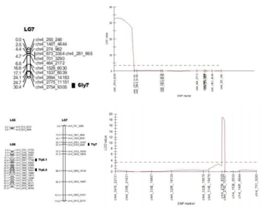 라이코핀 함량 연관 SNP 분자표지 이용 QTL 분석결과(상: A집단, 하: B집단)