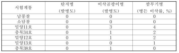 2017년 수수 공시계통 병 발생 현황