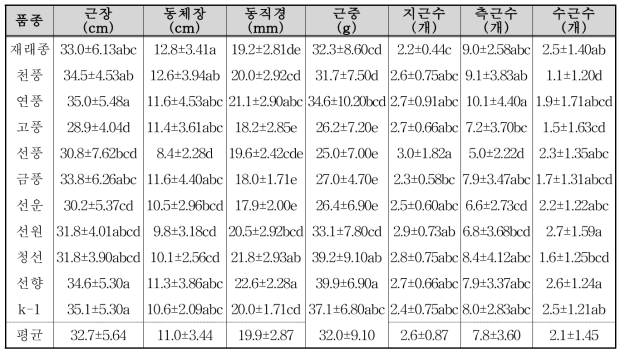 직파시 품종별 지하부 생육 특성(5년생)