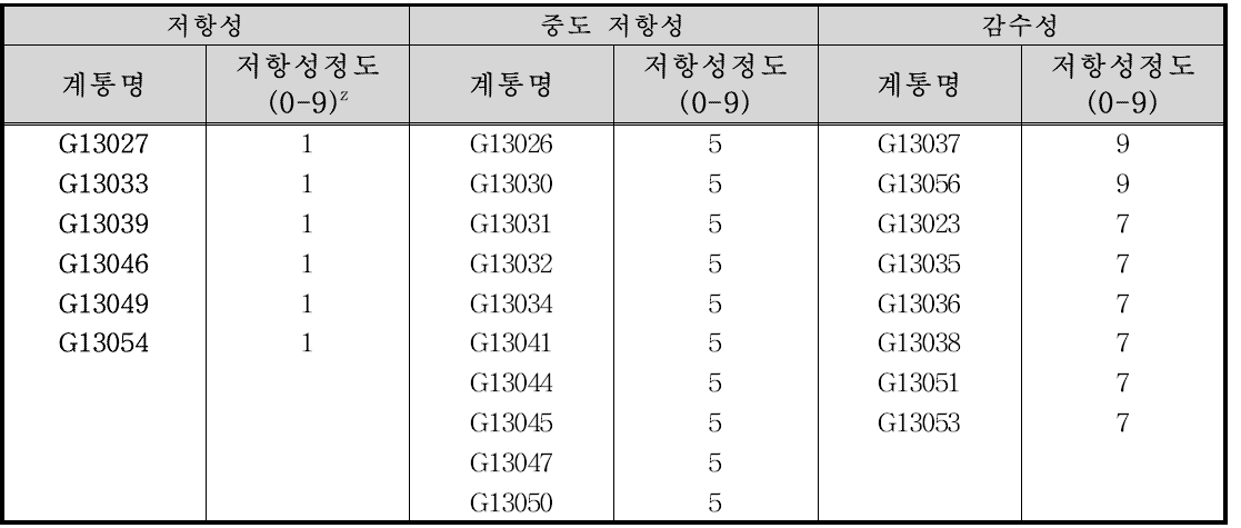 적변저항성 계통 선발(6년근, 6년차)