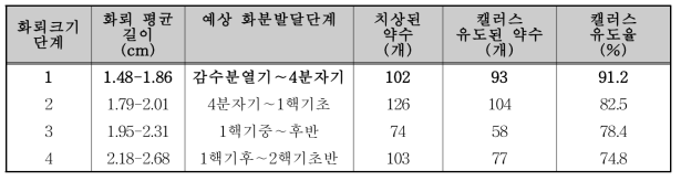 화분 발달단계에 따른 캘러스 유도율